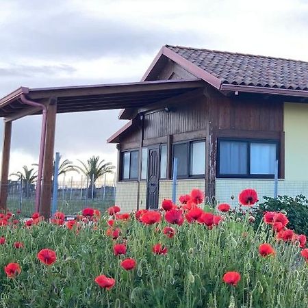 Spiaggia Le Dune Residence Margherita Di Savoia Exterior photo